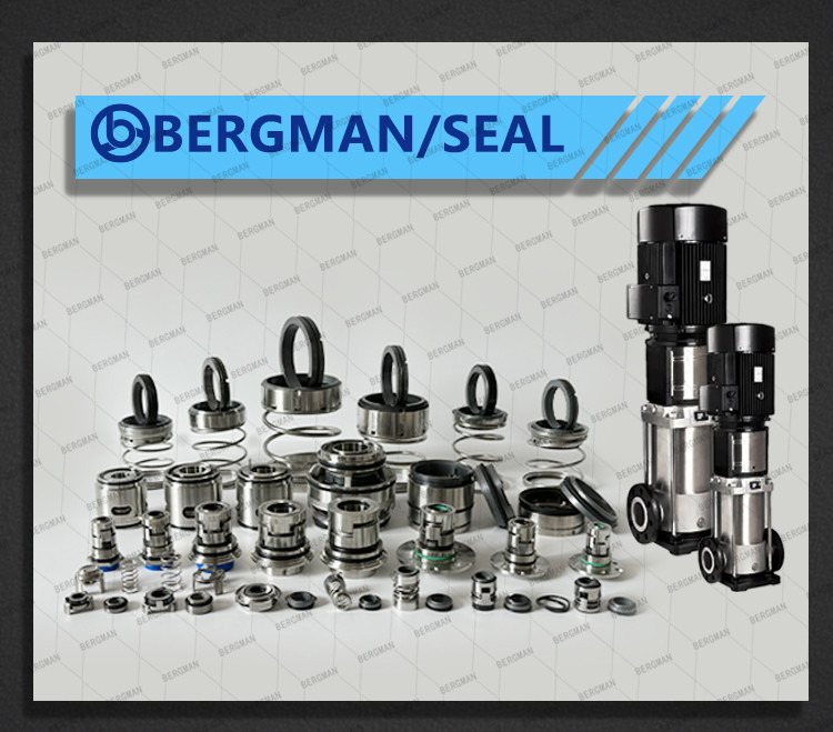 BERGMAN Replaces John Crane 2100-S 12mm-100mm G60 G4 G6 G9 G13 G16 BS Bo BP Pump Mechanical Seal
