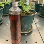 High organic Nitrogen Liquid Fertiliser Enzymatic Amino Acid Liquid 50% 8-0-0