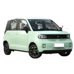 2022 Chinese EV 4 Wheel Supply Mini Car Low Speed Vehicle for Your Benefit