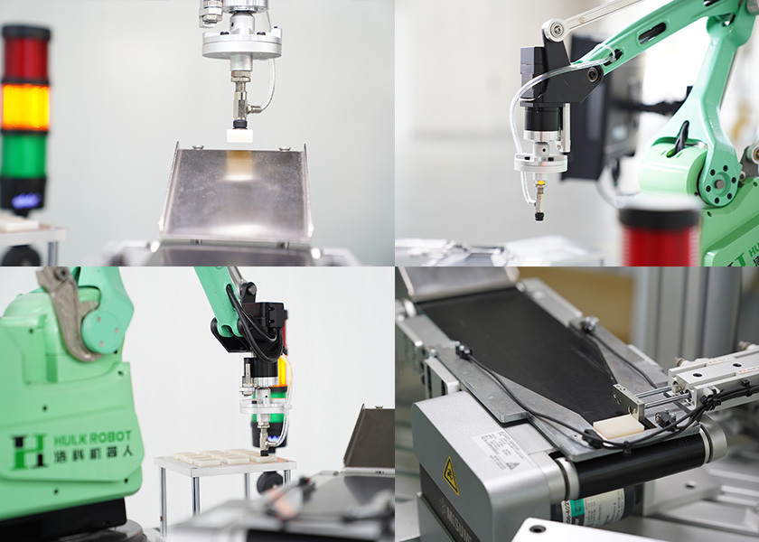 5 Axis Programmable Robot Arm