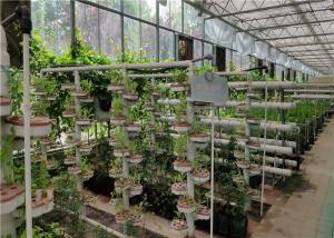 Glass Cover Hydroponic Greenhouse Simple Structure With Large Inner Room