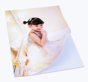 Wholesale A3 135gsm Self Adhesive Inkjet Photo Paper For Albulm from china suppliers