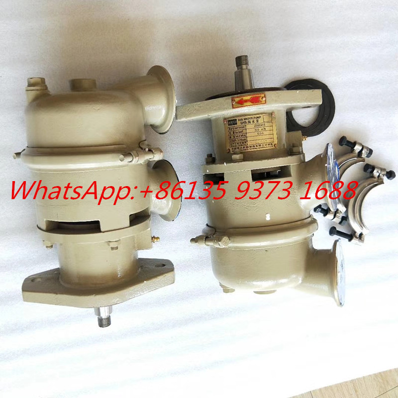 Hot sell Cummins 6bt5.9 Marine Engine 6HS Sea Water Pump 3900176 3900415