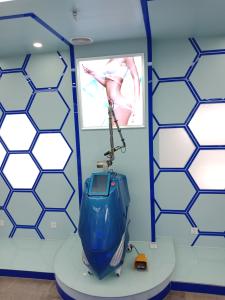 Wholesale Single pulse width 1064/532nm Nd:YAG laser tattoo removal machine from china suppliers