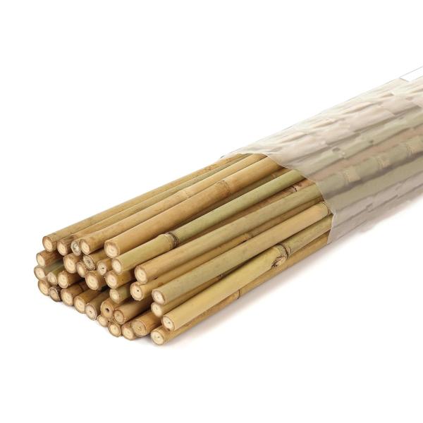 Eco-Friendly Bamboo Poles Toamto Beans Potted Plants for Indoor and Outdoor