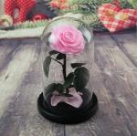 Preserved Fresh Flower Live Enchanted Rose in Glass Dome Cover with Gift Box