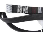 Belt 3974030