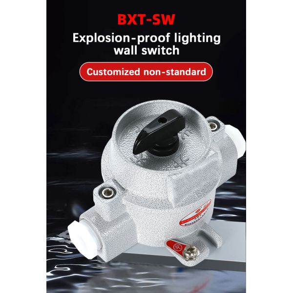 Price for Atex 10A Explosion-proof Lighting Switch 220V 380V Explosion-proof Rotary Switch