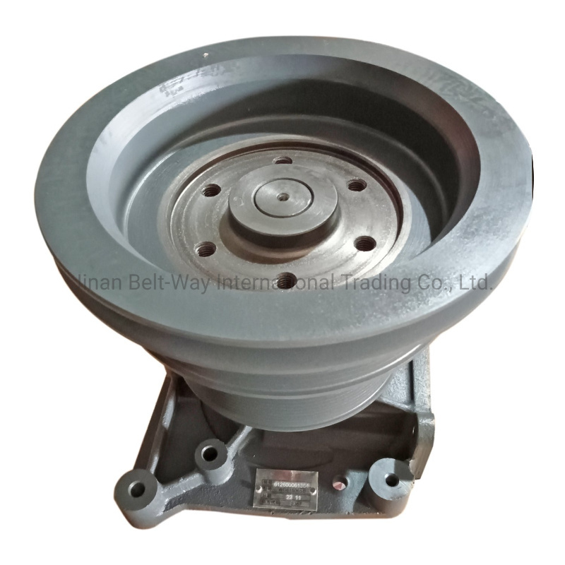 Shacman F3000 Dump Truck Weichai Wp10 Engine Water Pump 612600061364