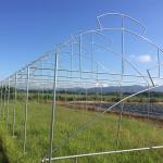 Thailand Multi Span Automatic Vent Greenhouse Electric Tropical Climate
