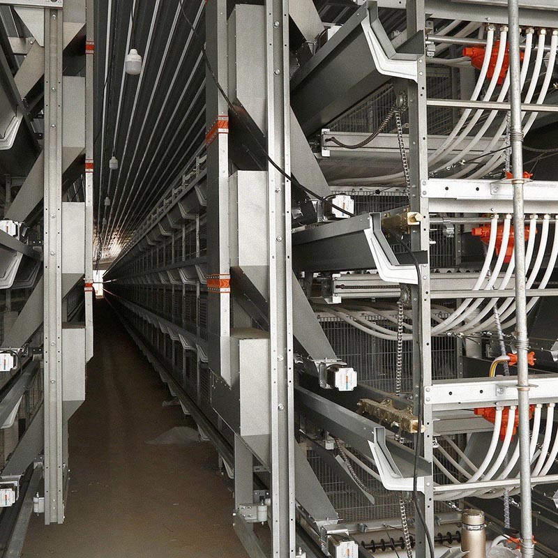 Chicken Egg Layer Cages Equipment With Poultry House