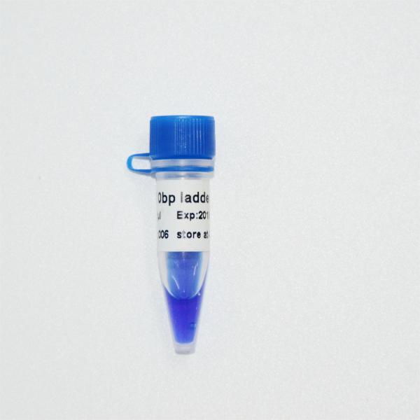 10bp Ladder DNA Marker M1011 (50μg)/M1012 (50μg×5)