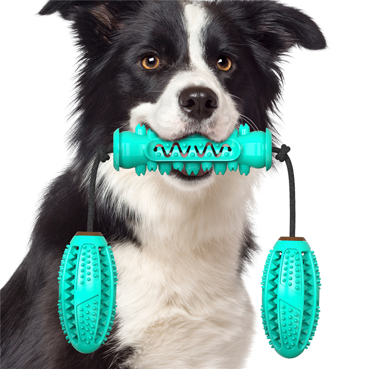 2021 Top Selling Funny Interactive Puppy Teeth Cleaning Chew Toy Dog Toothbrush Toy