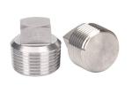 1/2" NPT Male Pipe Fittings , SS304 Solid Square Head Plug