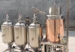Stainless Steel 304 All In One PT100 Home Brew Beer Equipment