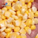 380V Electric Sweet Glutinous Corn Thresher 304 Stainless Steel Blade
