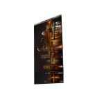BS066YQE-L30-6Q00 6.6 inch LCD Display LCD screen PANEL