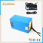 High Capacity 36v Lithium Polymer Battery Pack For Electric Bike