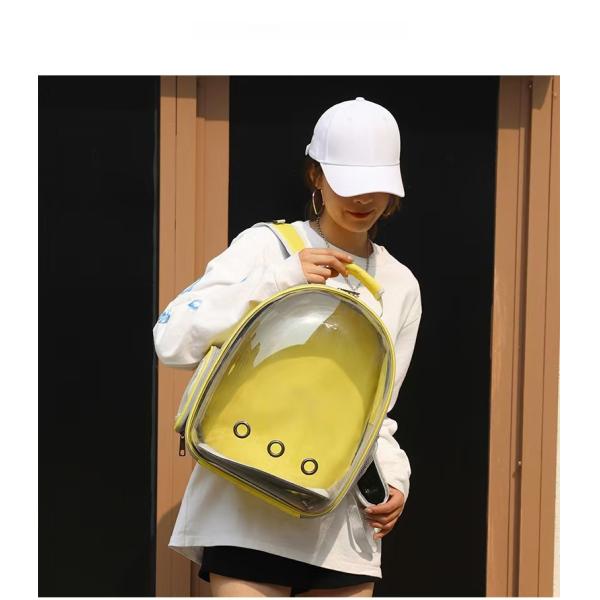 Explore the Great Outdoors with Your Furry Friend in Our Dual Strap Transparent Cat Backpack Comfortable and Portable
