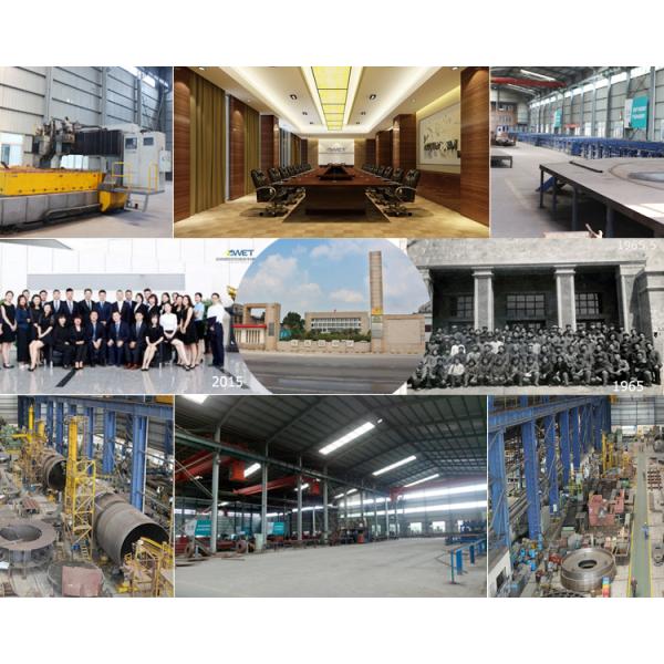 Small 800kg/h 0.7Mpa 1.0Mpa 1.2Mpa Biomass Boiler For Greenhouse