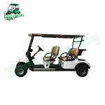 Chameleon Golf Cart - High Chassis 4 Seats