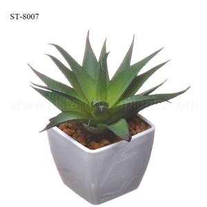 Wholesale 14cm Small Plant Artificial Succulents ,Fake Potted Succulents For Table Decoration from china suppliers