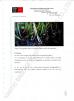 YANTAI BAGEASE BIODEGRADABLE COMPOSTABLE PRODUCTS CO.,LTD. Certifications