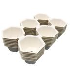 White Bagasse Sugarcane Packaging , Compostable Moulded Pulp Tray