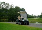 Two Passenger Electric Motor Golf Cart Red Color With Plastic Bodywork