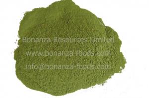 China Air Dried Celery Flour Dehydrated Celery Stalk Powder on sale