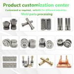 HSS Material CNC Lathe Machining Mold Parts Die Pins For Punching Mold Parts