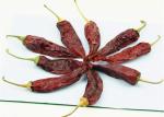 Organic Guajillo Peppers Chili For Fruity In Marinades & Recipes 8000 - 12000SHU