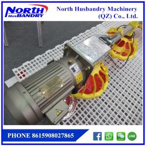 Wholesale Automatic Poultry House Animal feeding line for broiler chicken Poultry equipment from china suppliers