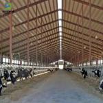 Prefabricated Steel Poultry Barns Farm Shed Design Industrial Chicken House One