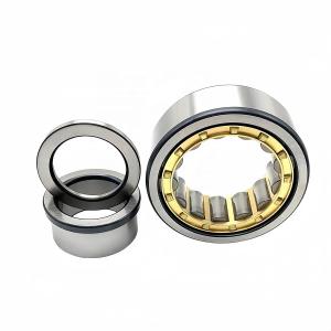 Wholesale Single Row NUP2305EM Cylindrical Roller Bearing for Machinery Repair Shops 25*62*24mm from china suppliers