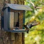 400mAh Smart Bird Feeder Camera House For Outdoor Garden CE Certification