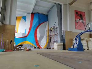 Wholesale Professional Speed Climbing Holds Resin Rock Climbing Holds For Adults from china suppliers