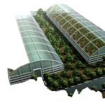 Commercial Aquaponic Aquarium System Prefabricated PO Greenhouses for Vegetables
