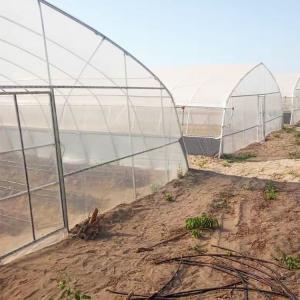 China Plastic Film Covering Shed Agricultural 8M Single Span High Tunnel Greenhouse on sale