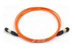 50 / 125UM Ribbon Fiber Optic Cable , 12F MPO Multimode Fiber Patch Cord