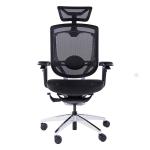 Marrit Swivel Ergo Office Chair 5D Paddle Shift Umbar Support High Back