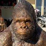 Bronze Life Size Gorilla Statue Sculpture Metal Brass Large Outdoor Sculptures