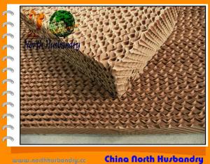 Wholesale North Husbandry -Evaporative Cooling Pad For Poultry Farm from china suppliers