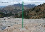 2.5-3.0mm Pvc Coated Barbed Wire Fence For Forest Farm Protection
