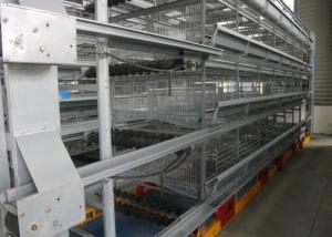 Wholesale Professional Layer Poultry Farming Equipment Easy Use Environment Friendly from china suppliers