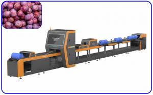 Wholesale Plum Intelligent Precise Sorting Equipment 4 Channel Electric Drive from china suppliers