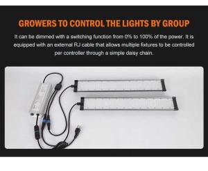 Wholesale Hlg Quantum Board LED Grow Lights LED Grow Light Quantum Board 200w LED Grow Light from china suppliers