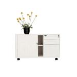 Shutter Door Anti Tilt RAL Color Steel Mobile Pedestals