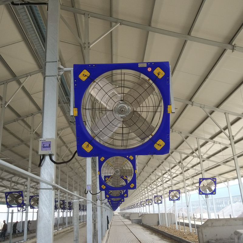 Industrial 1.1A 50-60HZ Circulation Fan For Livestock Ventilation
