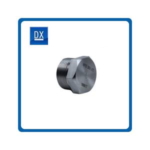 Wholesale stainless steel outer hex thread Hexagon Socket Pipe oil Plug from china suppliers